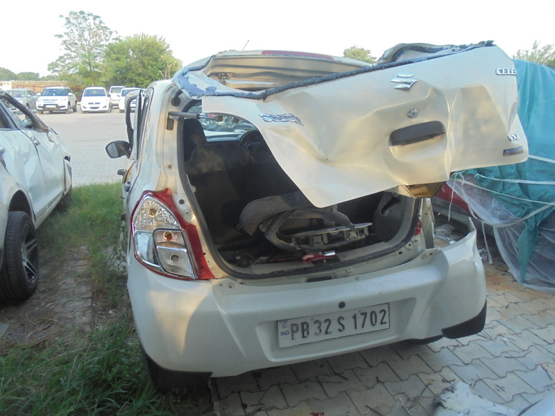 CELERIO-LXI 2014 picture 3