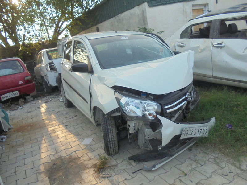 CELERIO-LXI 2014 picture 7