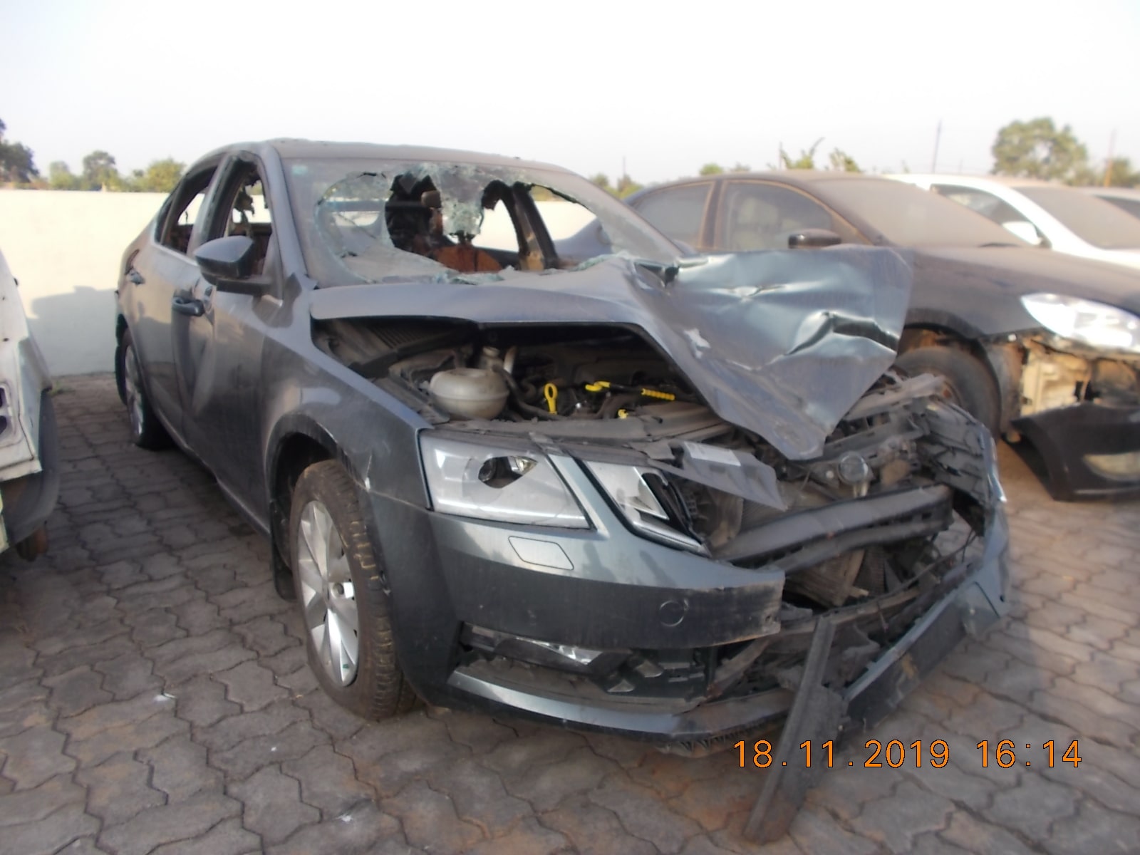OCTAVIA 2018 picture 1