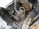 800 2015 picture 5
