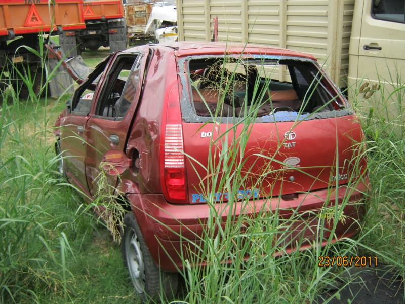INDICA 2008 picture 6