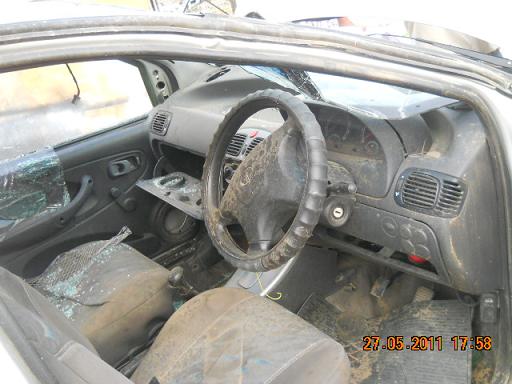 INDICA-DLS 2008 picture 3