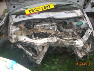 INDICA-DLE 2009 picture 3