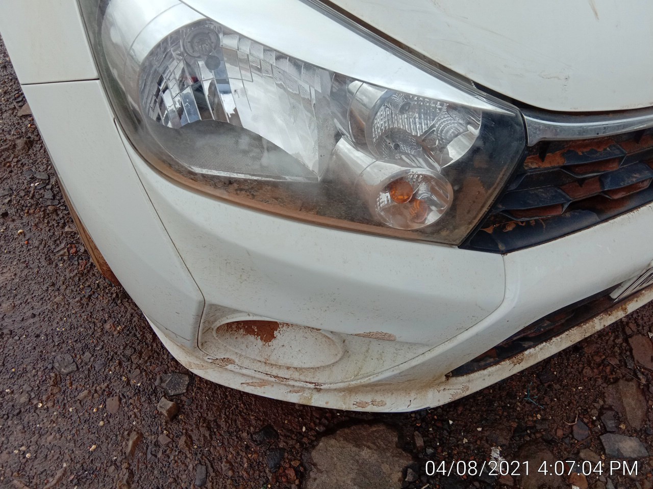 CELERIO 2018 picture 9