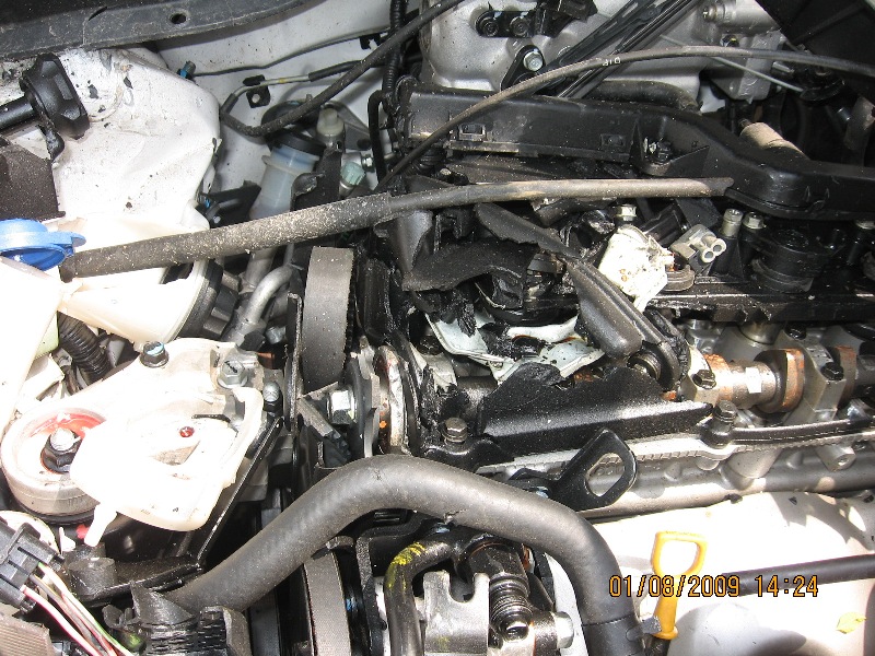VERNA 2009 picture 5
