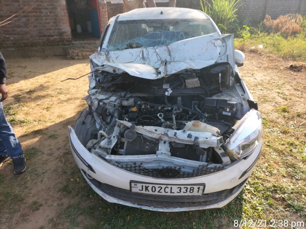INDICA 2019 picture 1
