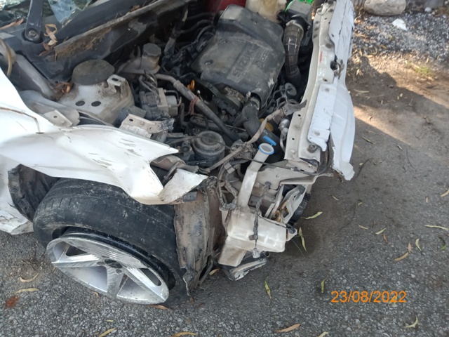 CIAZ 2017 picture 7