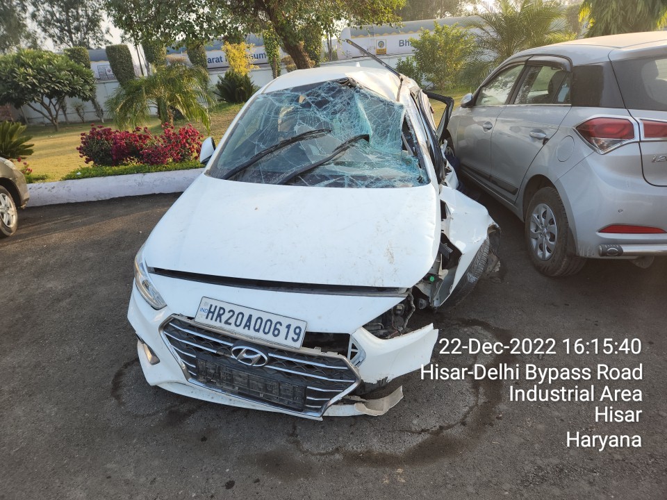 VERNA 2019 picture 9