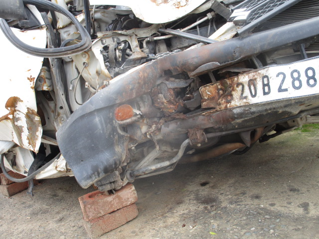 800 2010 picture 6