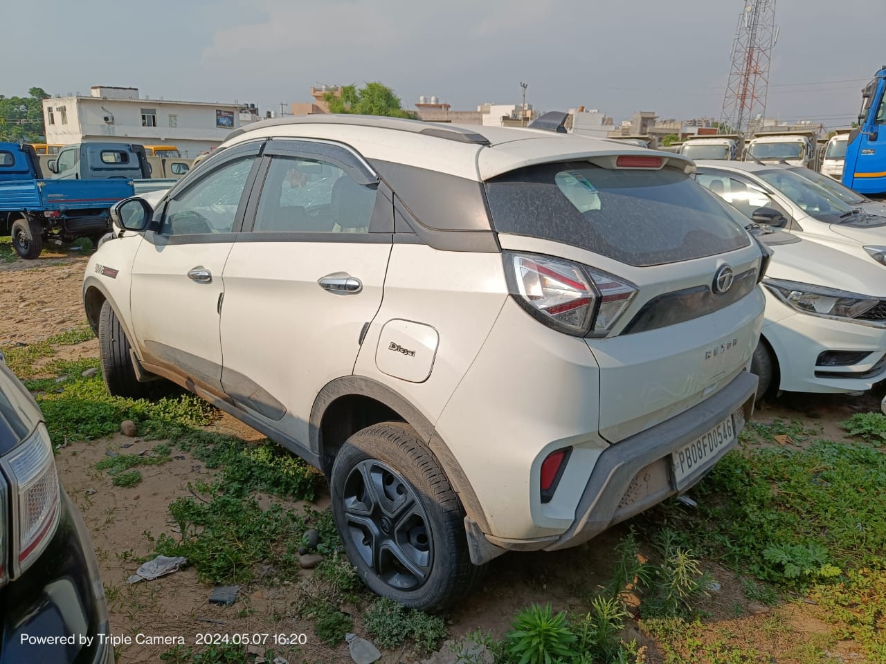NEXON-XM 2023 picture 2