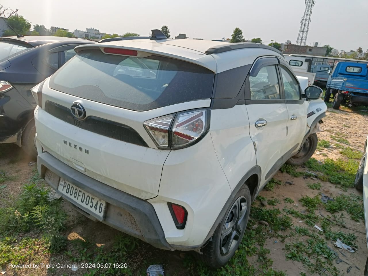 NEXON-XM 2023 picture 3