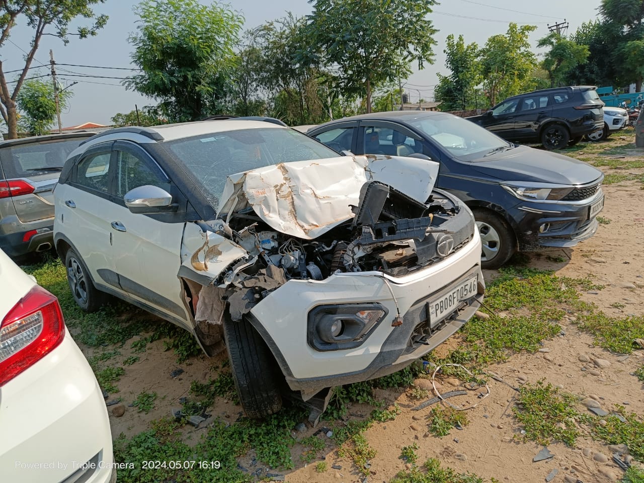 NEXON-XM 2023 picture 4
