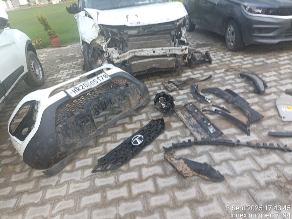 OTHERS 2019 picture 10