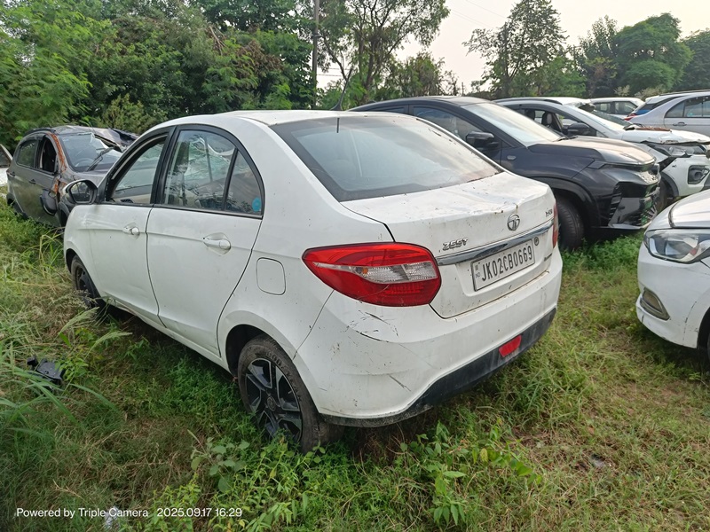 ZEST 2018 picture 10