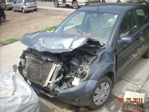 FIGO 2010 picture 4