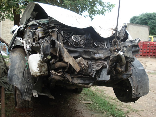 INDICA 2010 picture 10