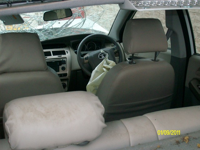 INDICA 2010 picture 7