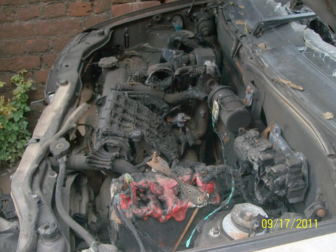 ALTO-STD-BS3 2007 picture 6