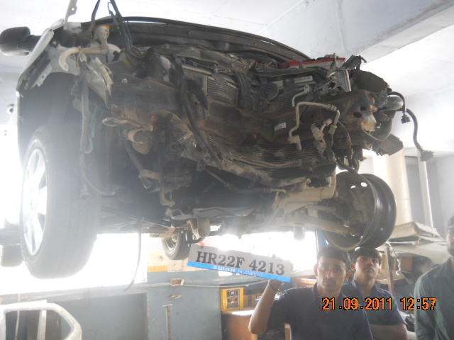 INDICA-VISTA 2010 picture 3