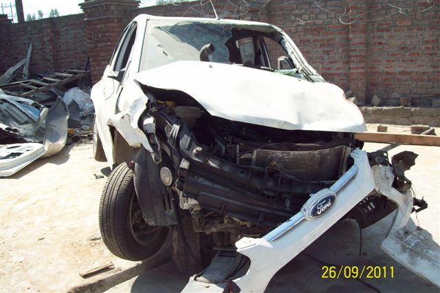FIGO 2011 picture 3
