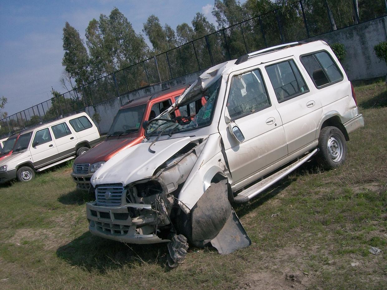 RHINO 2008 picture 5