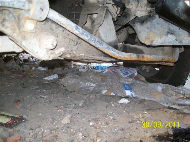 WINGER 2008 picture 6