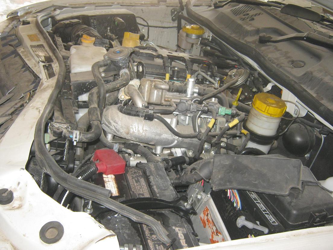 SAFARI-2.2VTT-DICORVX-2WD 2011 picture 7