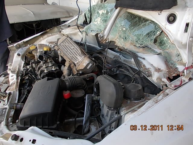 INDIGO-CS 2009 picture 5