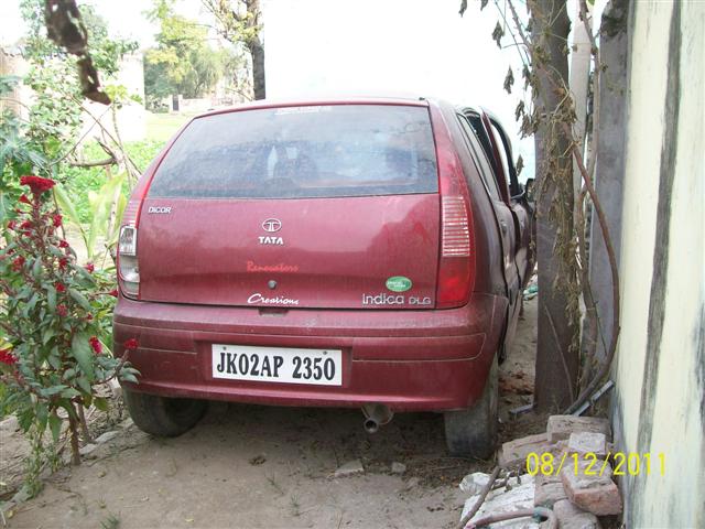 INDICA-DICOR-DLG 2008 picture 10