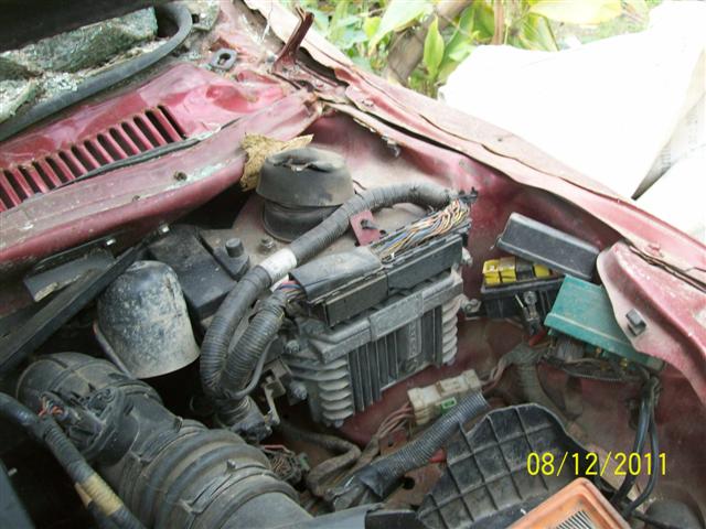 INDICA-DICOR-DLG 2008 picture 5