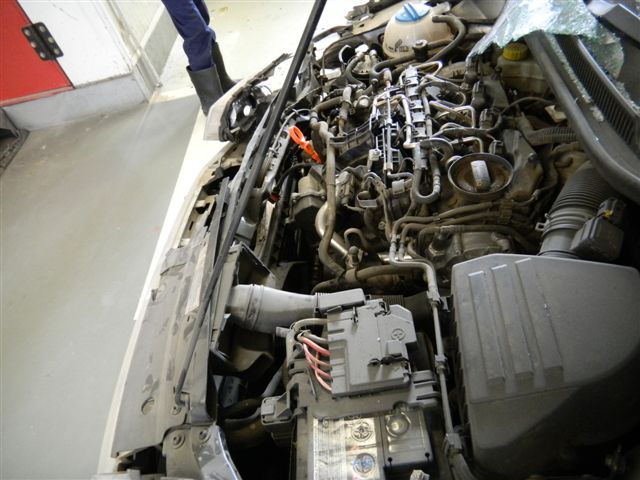 VENTO 2011 picture 3