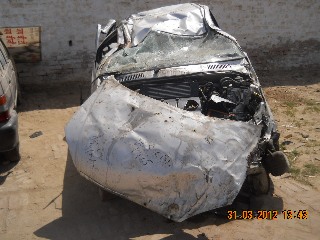 INDICA 2011 picture 6