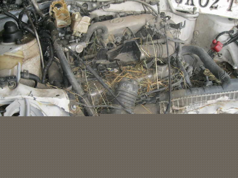 SANTRO 2003 picture 3