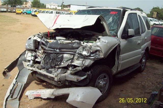 SAFARI 2012 picture 6