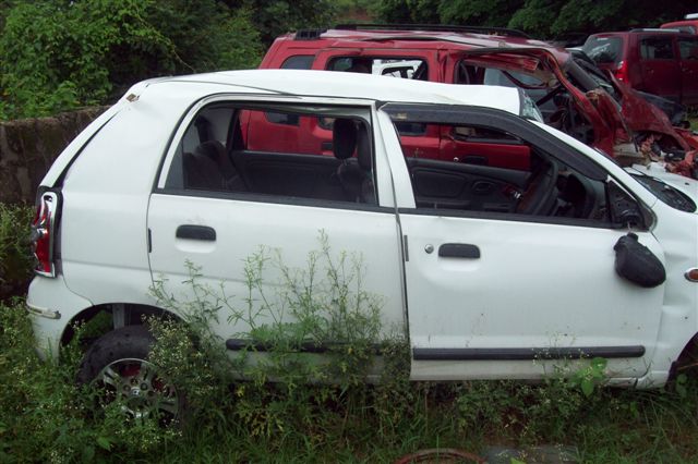 ALTO 2010 picture 2