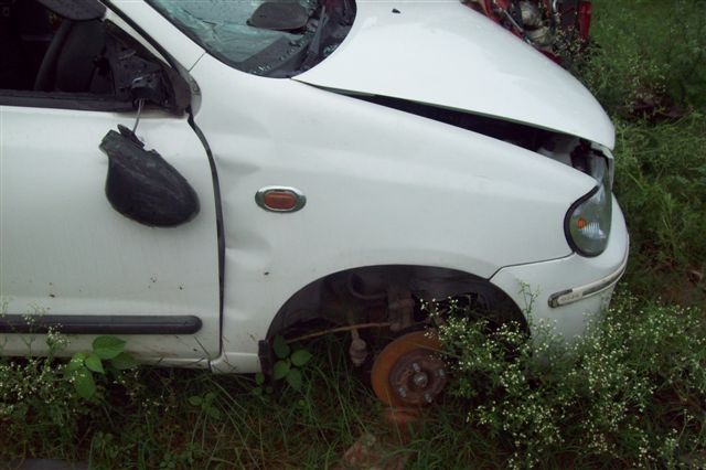 ALTO 2010 picture 3