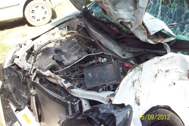 ALTO 2010 picture 4