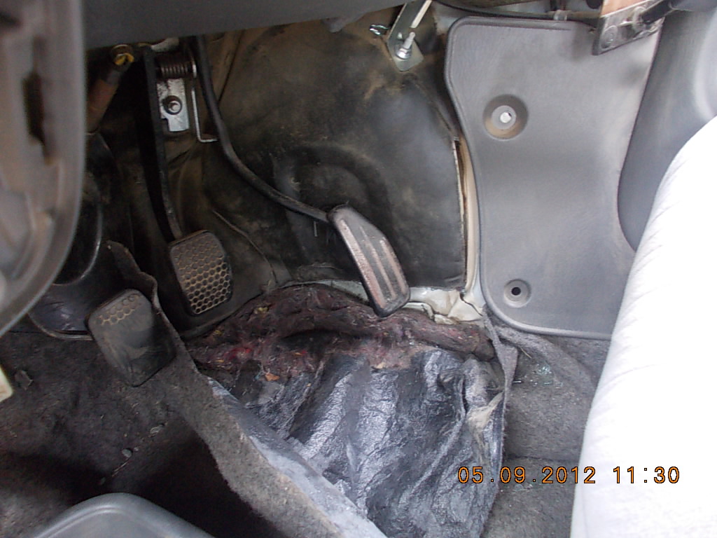 ALTO 2006 picture 6