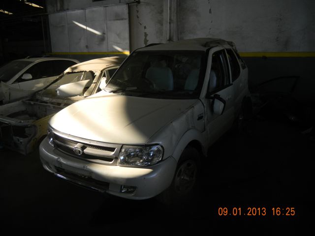 SAFARI 2012 picture 8