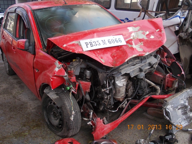 FIGO 2010 picture 3