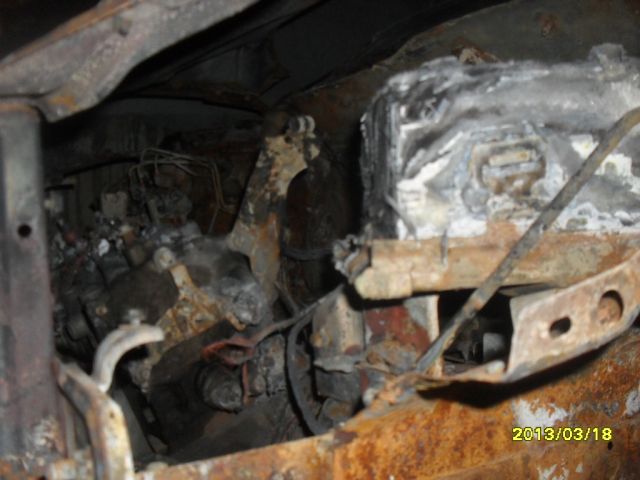 INDIGO-MANZA 2011 picture 6