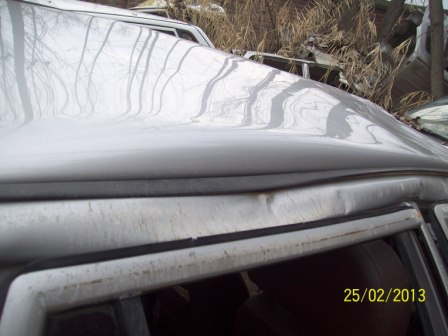 800 2010 picture 8