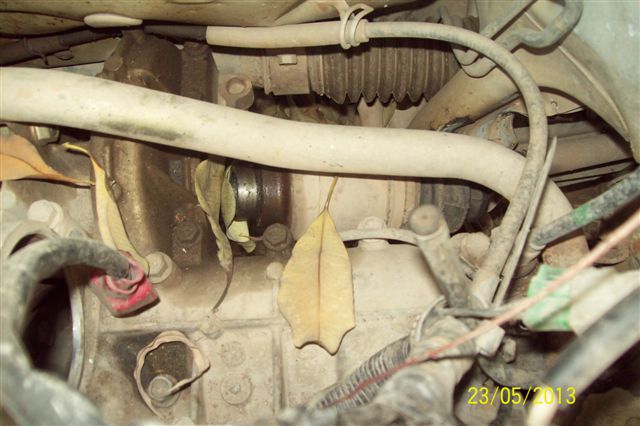 800 2009 picture 5