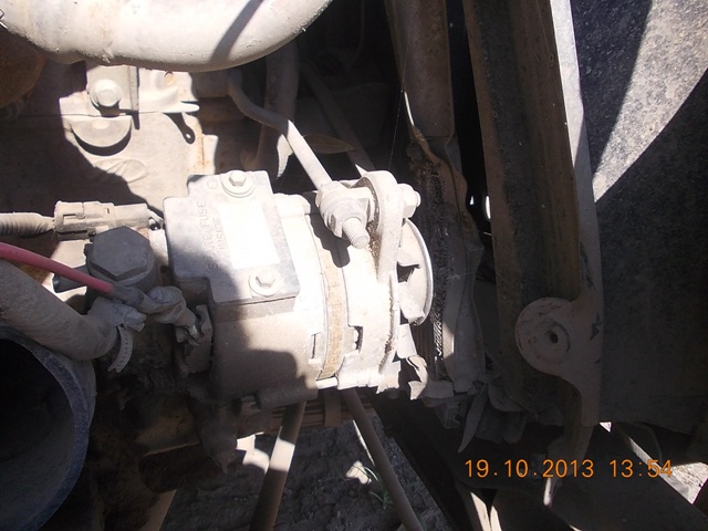 MAXX 2009 picture 9