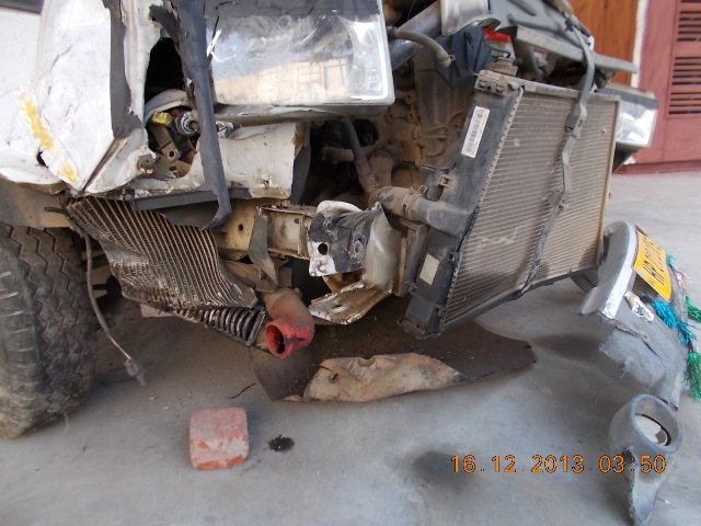 WINGER 2010 picture 2