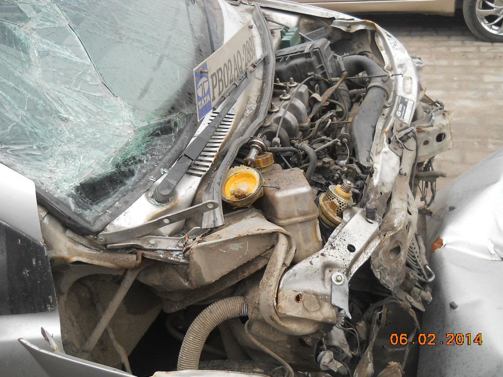 INDICA-DLS 2005 picture 3