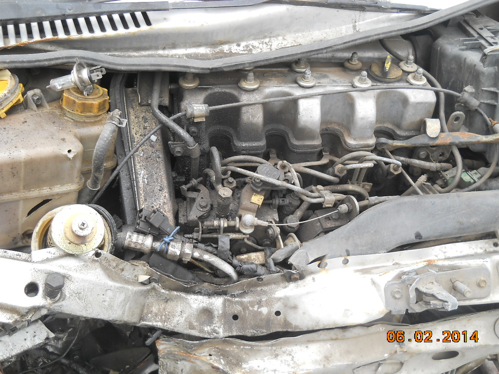 INDICA-DLS 2005 picture 5