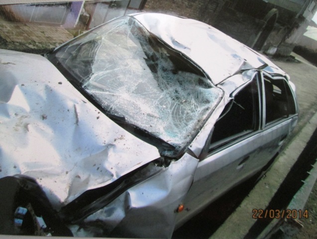 SANTRO-XING-GLS 2007 picture 5