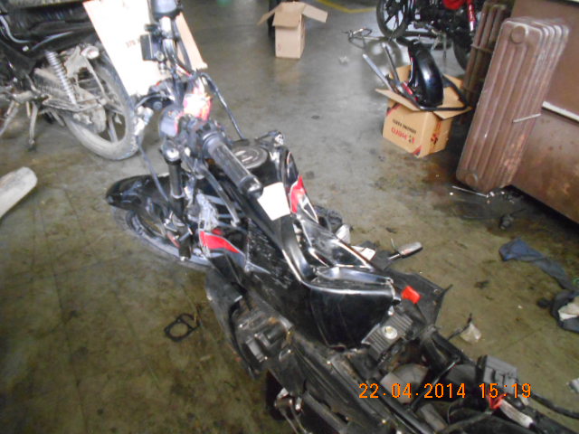 KARIZMA 2013 picture 3