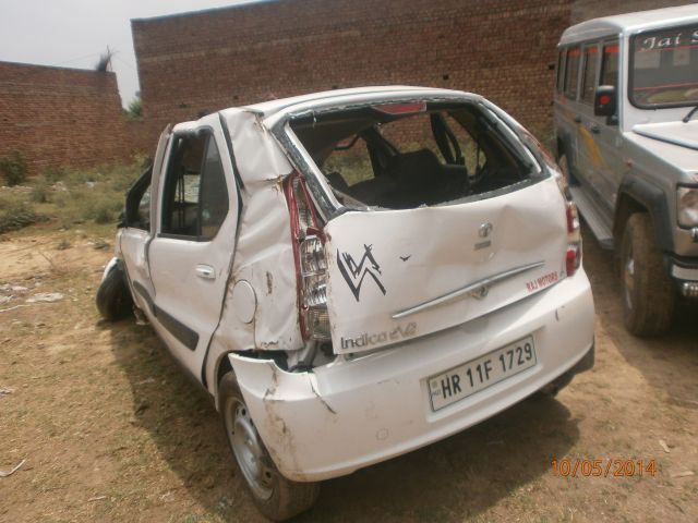 INDICA 2013 picture 3
